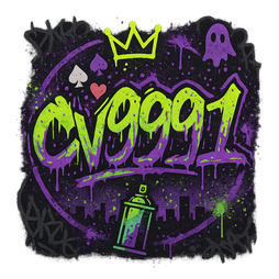 cv9991 logo